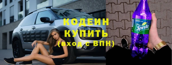 дмт Бородино