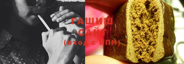 дмт Бородино