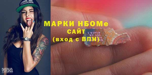 дмт Бородино