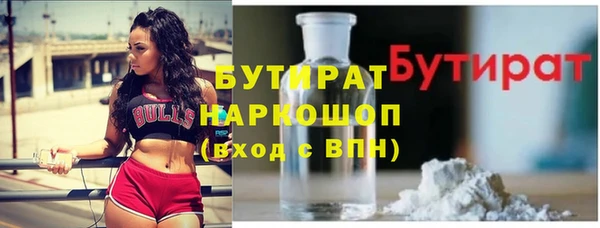 дмт Бородино