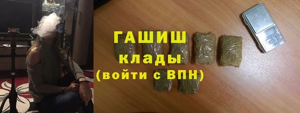 дмт Бородино