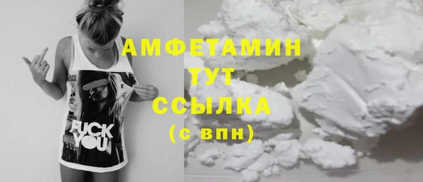 дмт Бородино