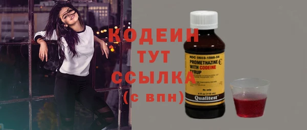 дмт Бородино