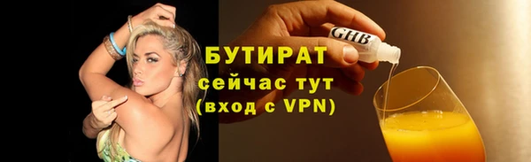 дмт Бородино