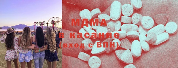 дмт Бородино