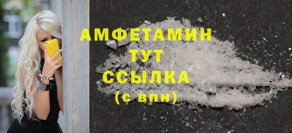дмт Бородино