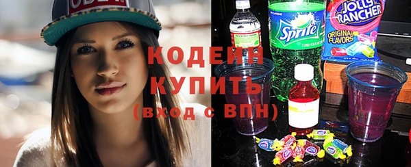 дмт Бородино