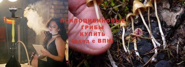 дмт Бородино
