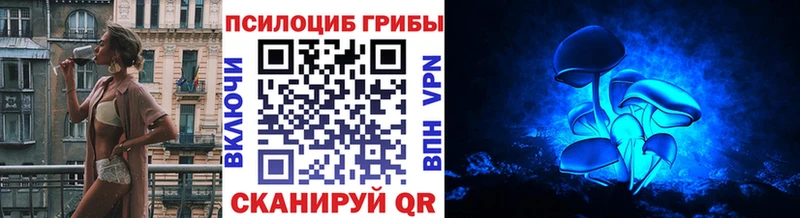 Псилоцибиновые грибы прущие грибы  купить   Ессентуки 